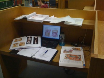 How to Study in Medical School
